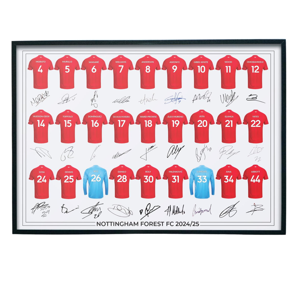 Nottingham Forest FC Signed 2024-25 Team Poster Print Autographed By Full Squad, Nottingham Forest Gifts